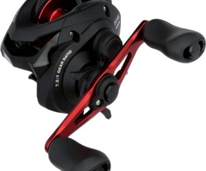 Shimano Baitcaster - Caius