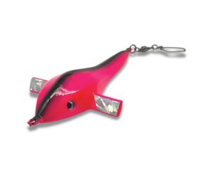 Pulsator Frigate Bird